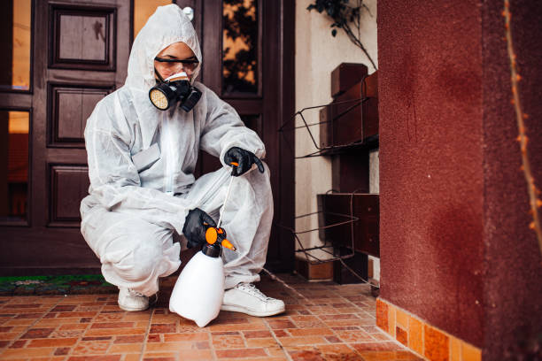 Reliable Wasp Removal contractor in Salem, NJ by Show Me Pest Control
